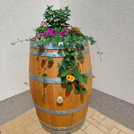 Appartement Chlupovi *